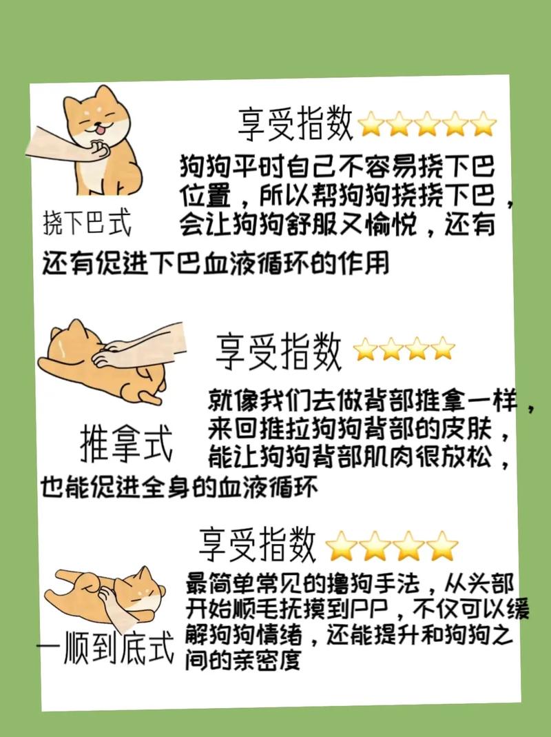 让属狗男痴迷的技巧