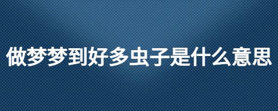 梦见小虫子