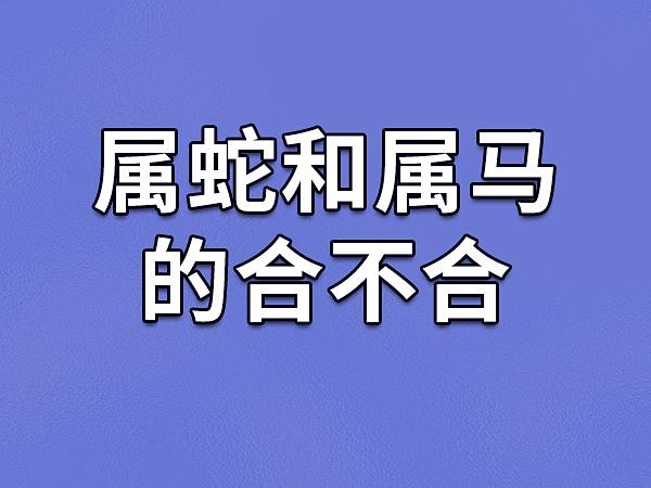 属马与属蛇的相配吗