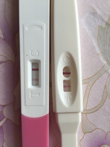 2017.1.24生肖运势