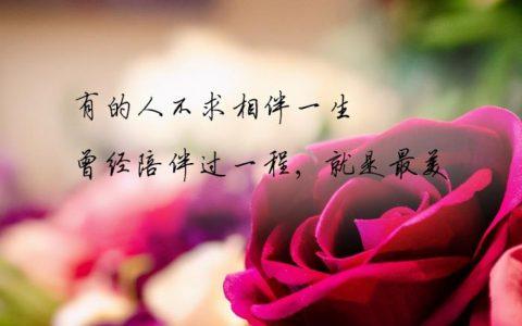 婚姻天注定半点不由人