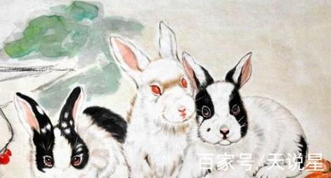 鸡年运程:2017年属兔的全年运势
