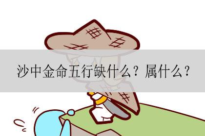 沙中金命的人一生的运势如何?