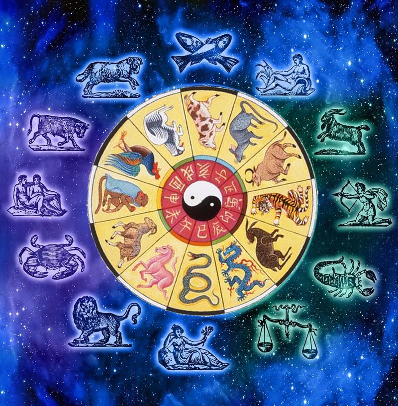 12星座属象