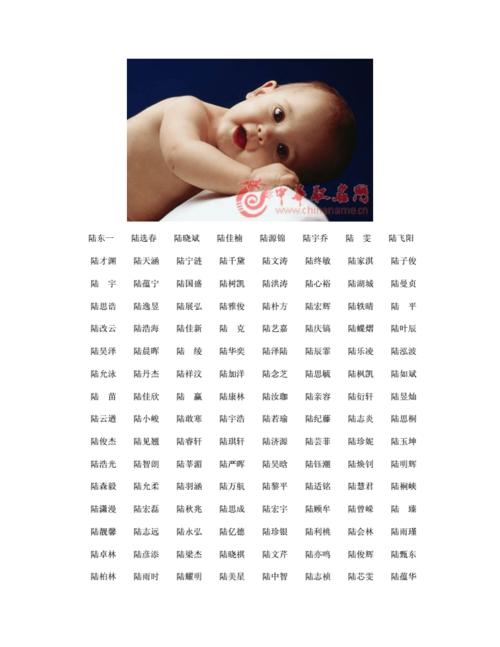姓陆男宝宝名字大全超好听的有哪些