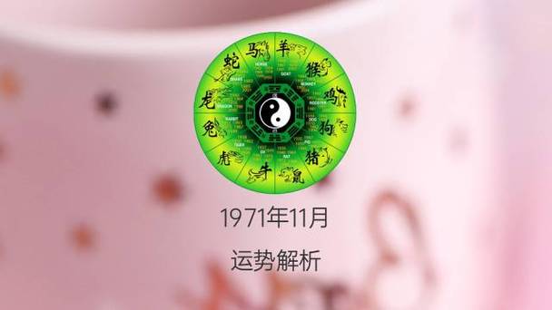 八字身旺喜走财官运