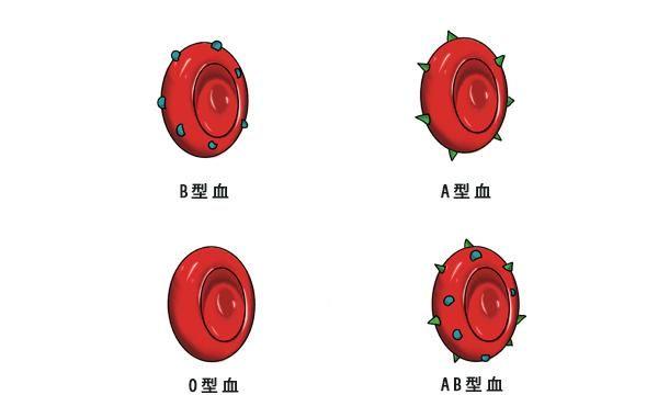 测试血型:看你最像哪种花