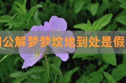 梦见祖坟前开花