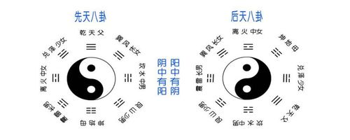 男孩凤凰旋的寓意