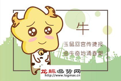 属牛的爱情难题都是什么