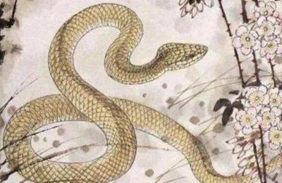 生肖蛇本周(4.18—4.24)整体运势获悉