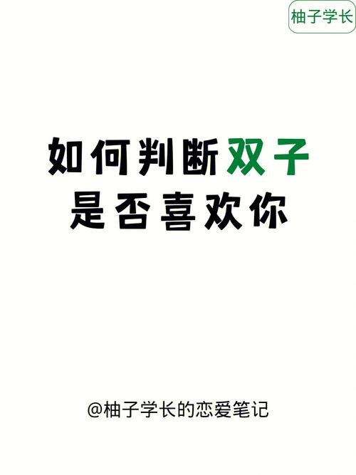 双子座喜欢你的表现细节