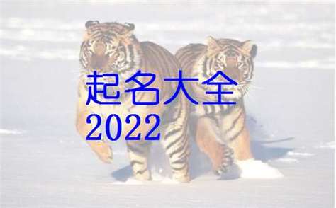 阎姓男孩取名 阎姓男孩取名虎