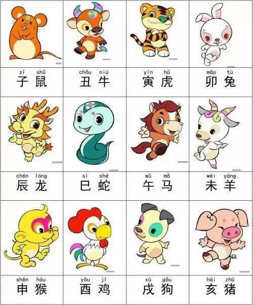 十二生肖中最吸引人目光的生肖