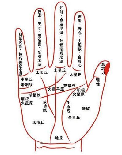 最直观图文手相，3分钟学会自己看手相