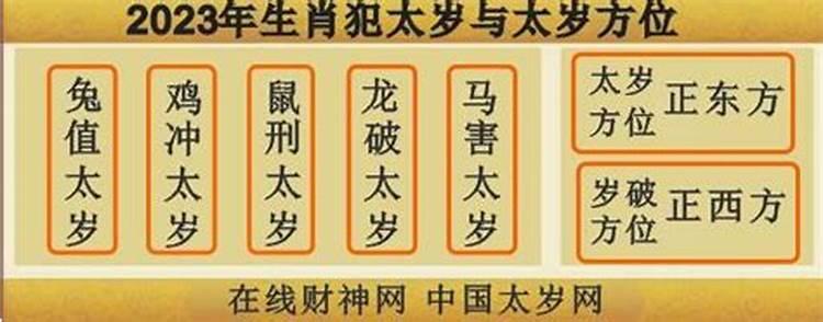 温润而泽是什么生肖,2023年明年是什么生肖年