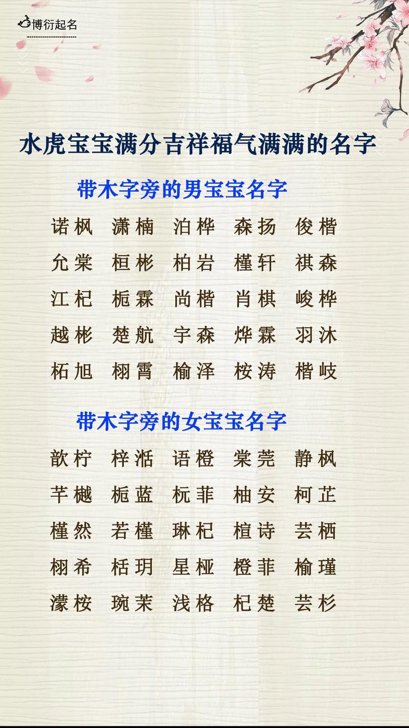 适合水虎宝宝的男孩名