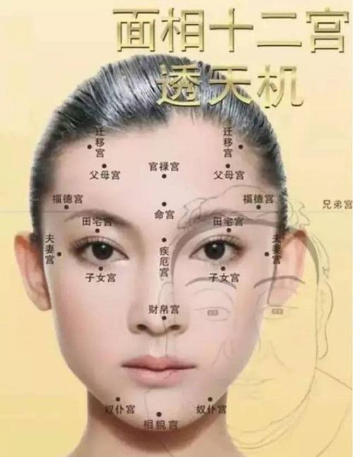 女人眉心痣分析