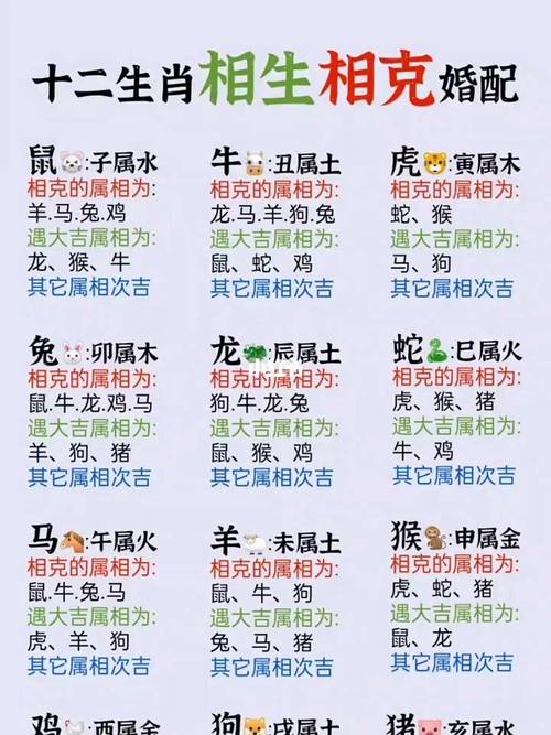 什么生肖配对最好