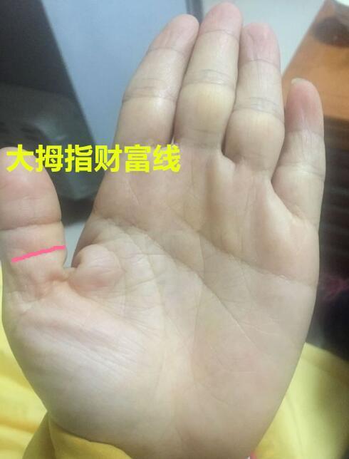大拇指看财运什么样的拇指财运最好?