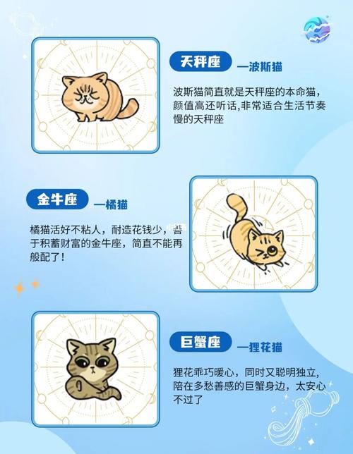 扒一扒12星座的好奇心