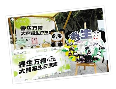 让人眼前一亮的个性的宠物名字