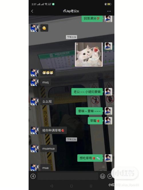 分手or异地恋,O血型君如何抉择?