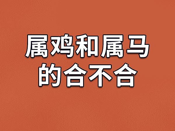 男马女鸡能过一辈子吗
