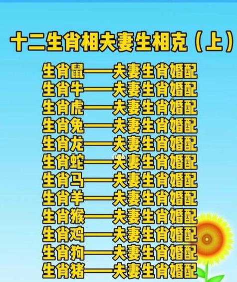 十二属相的幸福婚配