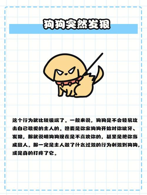 只争朝夕或十年不晚?属猴人记仇会记多久?