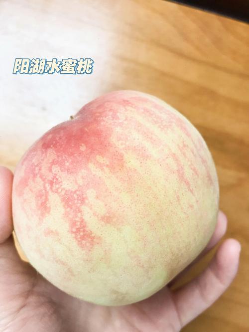 梦见水蜜桃子