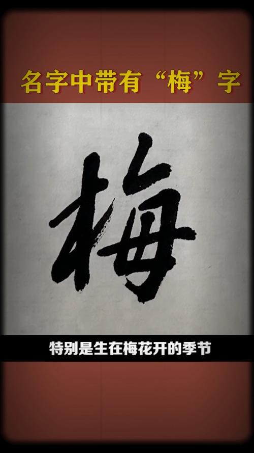 带梅的名字有内涵