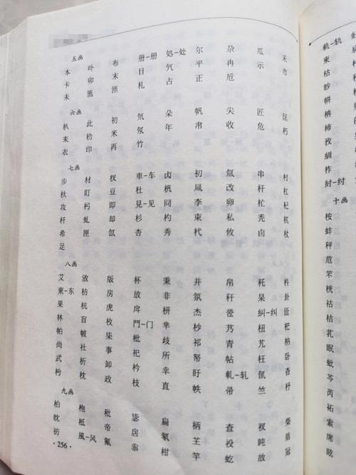 五行属木的电器有哪些?五行属木的人忌讳什么?
