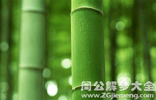 梦见孕妇梦见竹子是什么意思