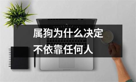 属狗为什么决定不依靠任何人
