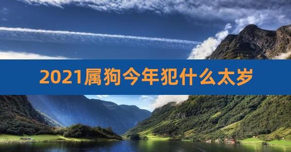 属狗的2021年上半年好还是下半年好,需要注意什么