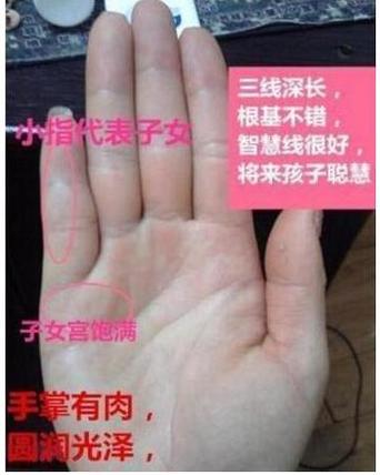 因婚而贵的手相特征详细介绍