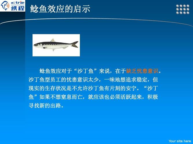 鲶鱼效应的三点启示