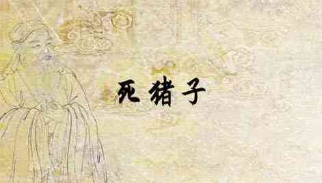 梦见死猪头