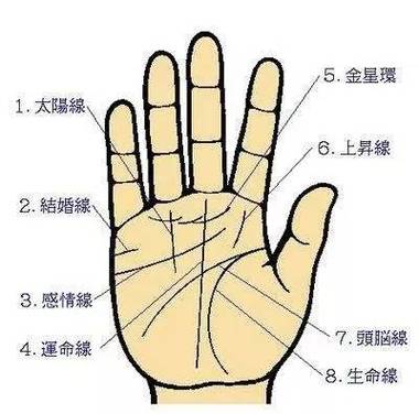 手相图解:健康线