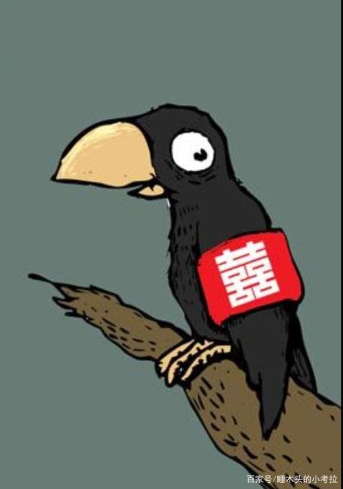 半夜听到乌鸦叫预示什么,大多是凶兆