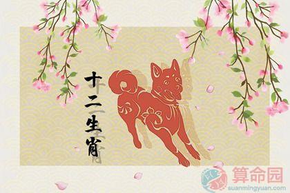 94年属狗的贵人是什么生肖,不可错过的贵人