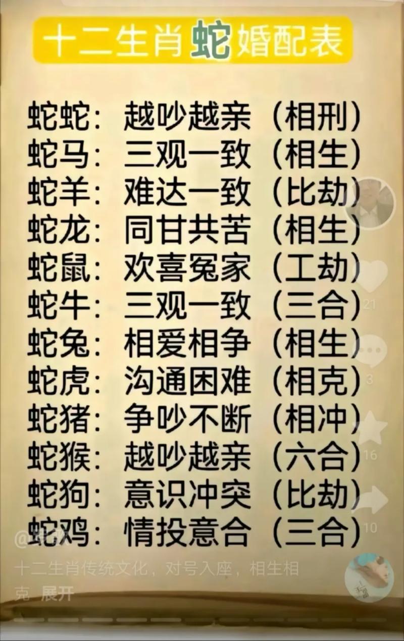 女属马的属相婚配表