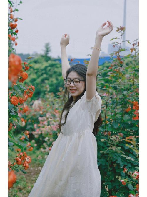 院子种玫瑰影响风水吗