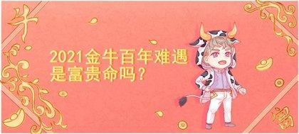 属牛结婚后如何营造美好家庭氛围