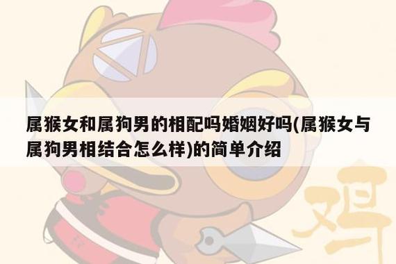 1992女猴1994男狗婚配合适吗