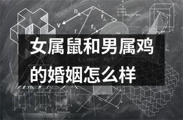 女鸡男鼠婚姻是否合适?属鼠男对另一半有什么要求?