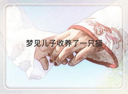 梦见儿子收养了一只猫