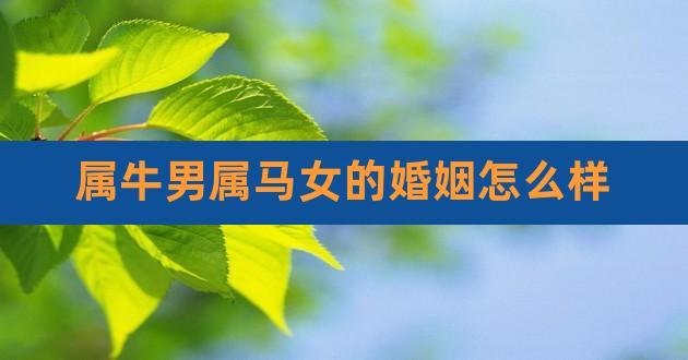 男牛女马婚姻怎么样?属马人恋爱特点?