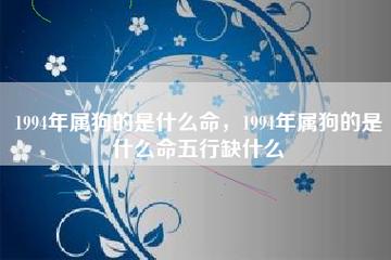 1994年属狗五行属什么命